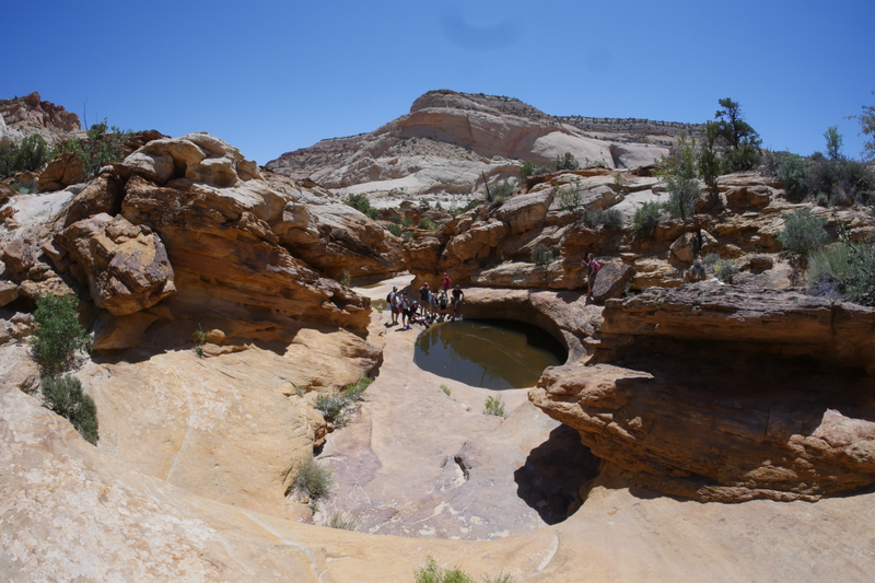 Illustration for article titled Capitol Reef - A not overlanding post